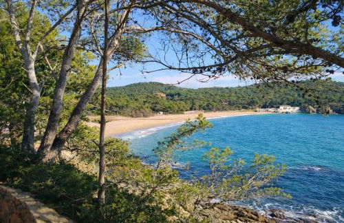 Casa 4Estacions Palamós 3a linia mar Port Marina-Camí de Ronda-pàrquing - Foto 50