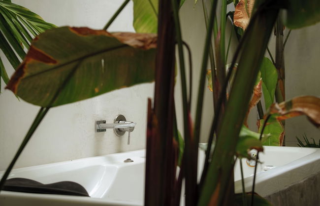 Villa Quetzalpapalotl - Foto 10