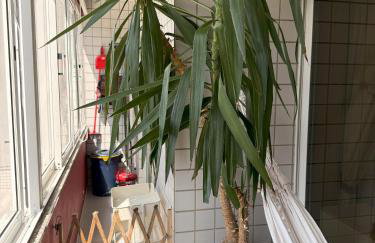 Cozy and Quiet Apartment near the Center - Foto 24