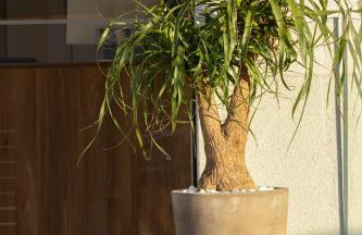 Arente Apartments - Photo 31