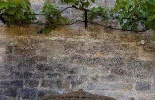 Chateau du Perrier - Foto 39