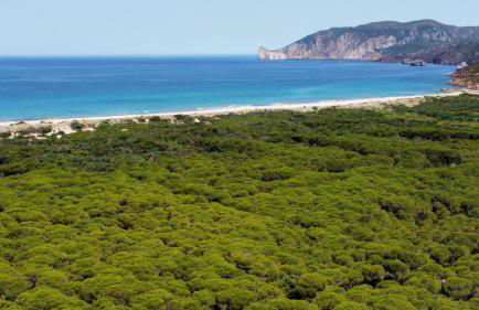 Appartamento La Collinetta - Foto 22