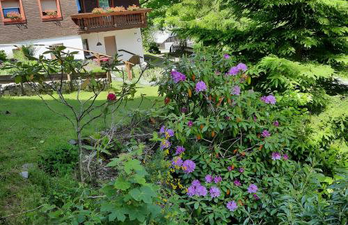 Haus Maria - Photo 69
