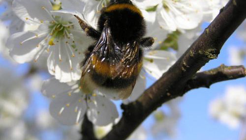 Dom nad jeziorem - Mazury - Foto 4