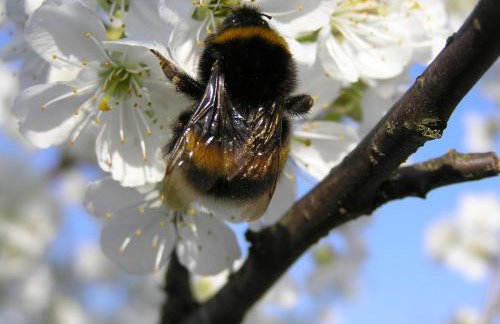 Dom nad jeziorem - Mazury - Foto 4