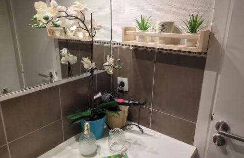 Cannes Isola Bella entre mer et montagne - Foto 13