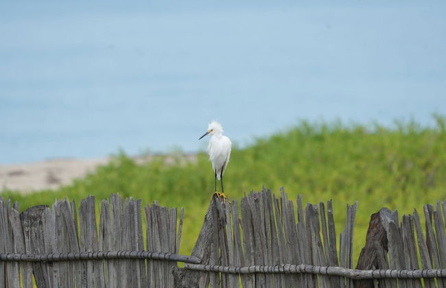 Palaa Mayapo Ecolodge - Foto 29