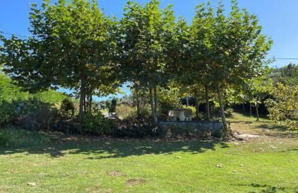 VILLA OLIMAR - Foto 9