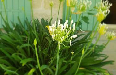 Belle maison de charme - Foto 8