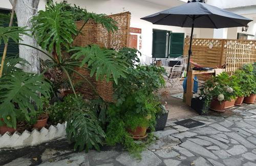 Olgas Cozy Nest Corfu retreat garden near Dassia - Foto 49