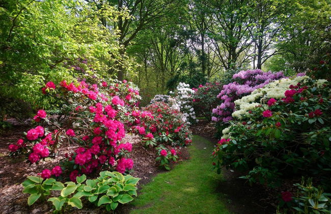 Luxury Spa Retreat in Lolland - By Traum Ferienwohnungen - Foto 21