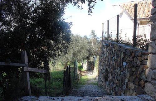 Country House Tagliaferro - Foto 19