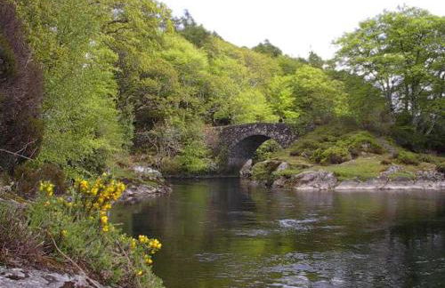 Rowanhill Cottage - Photo 16