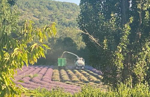 Gîte Le Tramontane Meublé de tourisme 4 étoiles Le Moulin de Prédelles - Foto 1
