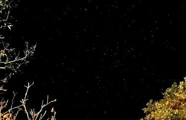 Castellare - Foto 80