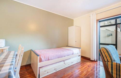 Tulipa do Gêres - Foto 4