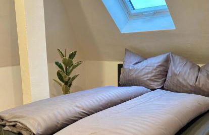 Platzhirsch - Foto 9