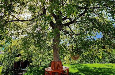 Großschlipfhof - Foto 23