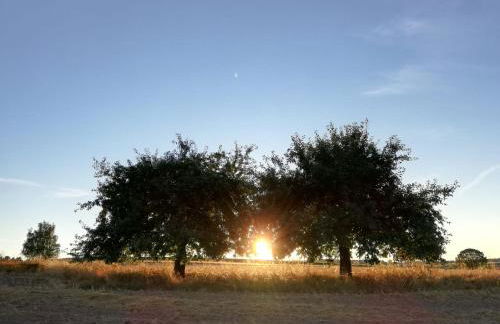 Odenwald Lounge im Naturpark Bergstraße-Odenwald - Photo 36