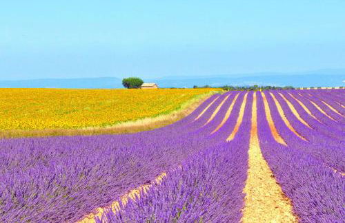 Ferme St Roch - Foto 46