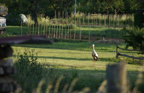 L'Horizon du Vignoble - Foto 9