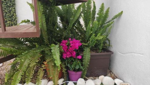 Casa Carmela axarquia - Foto 4