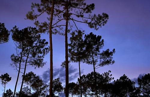 Villa L' Escourette - Foto 8