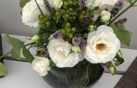 Gut Bielenberg - Foto 22