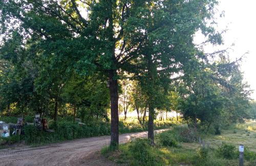 Ozierański Eden "Pod rzeźbami" - Photo 39