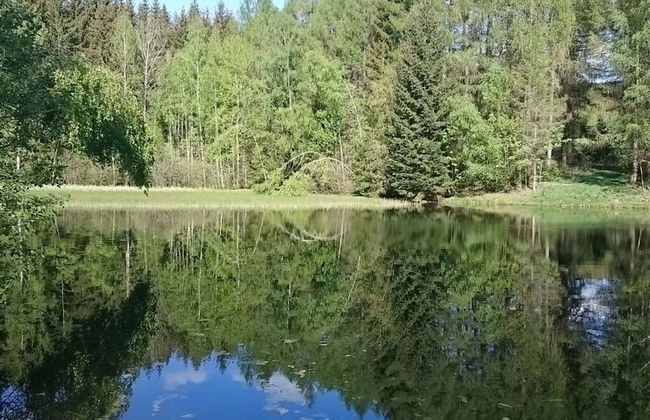 Daumler "house Am Weisswald" - Foto 19