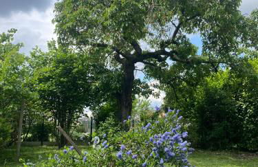 Maison avec jardin Orléans métropole - Photo 48