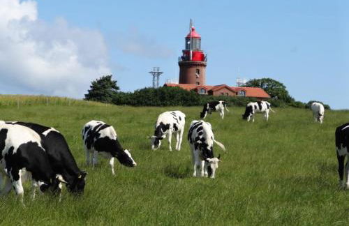 Elegantes Landhaus in Bastorf nahe dem Meer - Foto 23