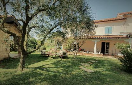 House Nono Bepo in small Istrian village - Foto 5