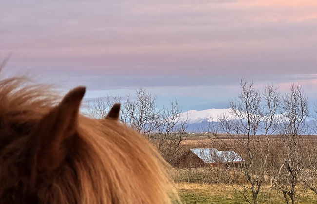 Askot Cottages - Foto 12