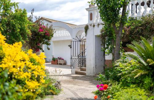 Moli dels Reis - Photo 40