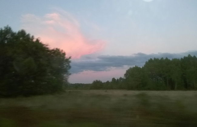 Les Calicots Sanguinet - Photo 12