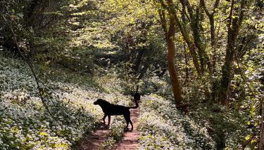 Cotswolds AoNB Cottage- Modern Renovation- Sleeps8 - Foto 5