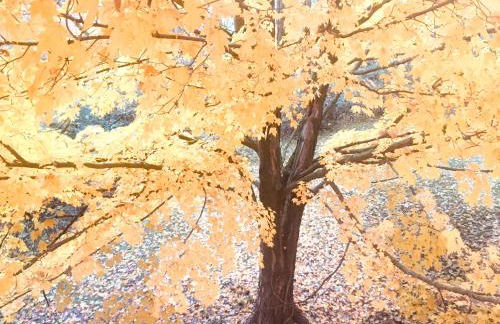 Top of the Hill, Meadowbrook - Foto 48