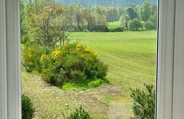 Cosy Country House in Deeside - Foto 15