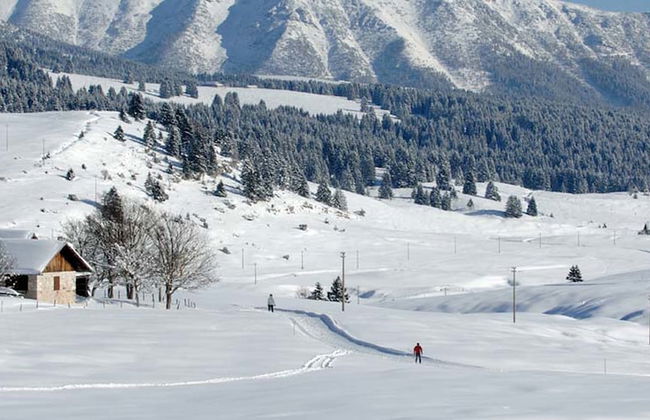 Casa Camilla Holiday - Photo 29