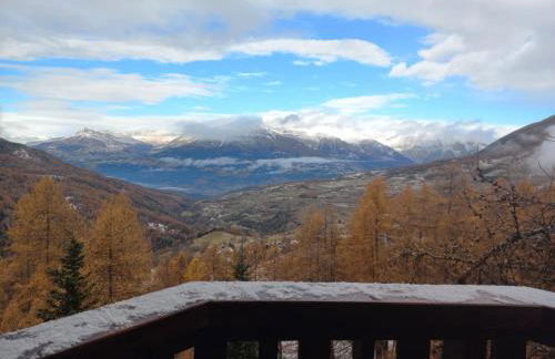 Les écureuils du Méale - Photo 2