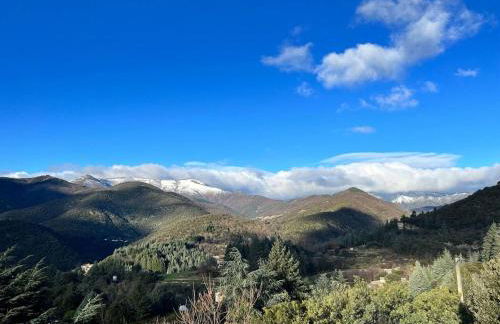 Appartement charmant à Valleraugue avec terrasse, 40 m² - Foto 12