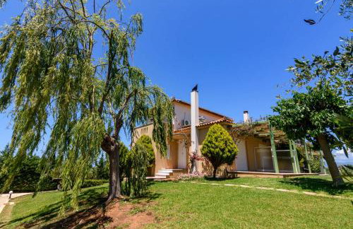 Terpsi Apartments - Kyparissia Garden Retreats - Photo 2