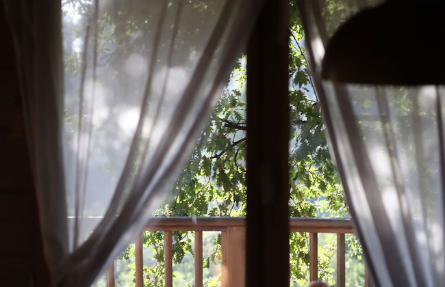 Orion Tree houses - Foto 29