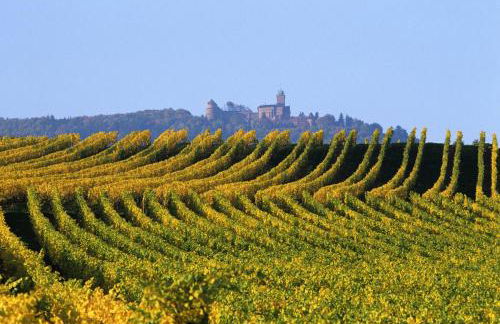 Gîtes Marschall Jean-Pierre - Foto 28