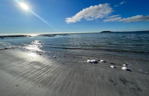 Dun Buidhe - Foto 23