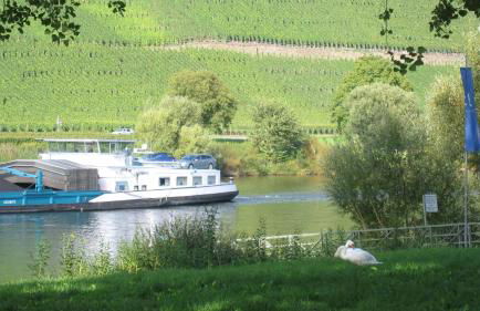 2type4 - Apartments - Foto 1