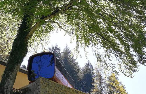 Les Cabanes d'Hestia - Foto 30