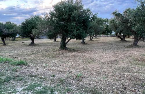 Podgora Experience Suite II - Foto 20