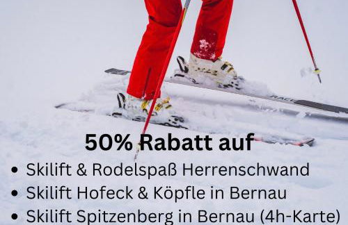 Ferienwohnung Panoramablick - super für deine Familie und die besten Aussicht in ganz Todtmoos - Foto 42